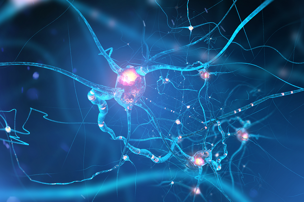 The Nerve Surgery Centre